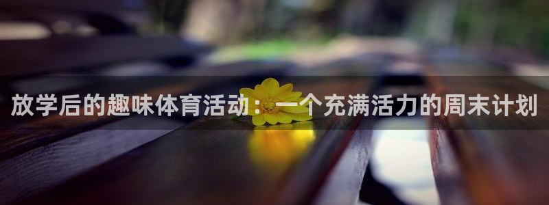 放学后的趣味体育活动：一个充满活力的周末计划
