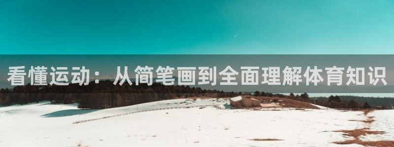 看懂运动：从简笔画到全面理解体育知识