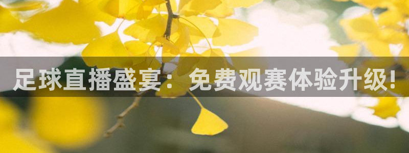 足球直播盛宴：免费观赛体验升级!