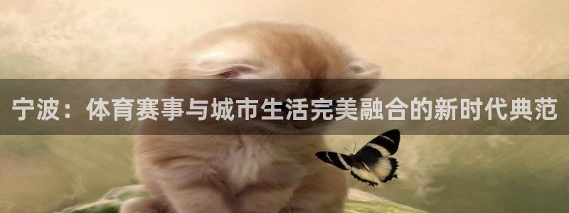 足球500万即时比分：宁波：体育赛事与城