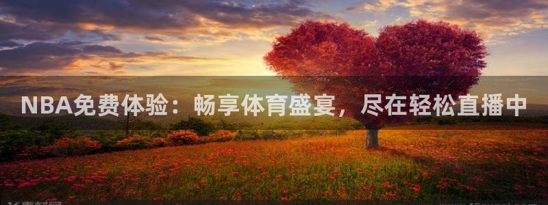 500体育网：NBA免费体验：畅享体育盛宴，尽在轻松直播中